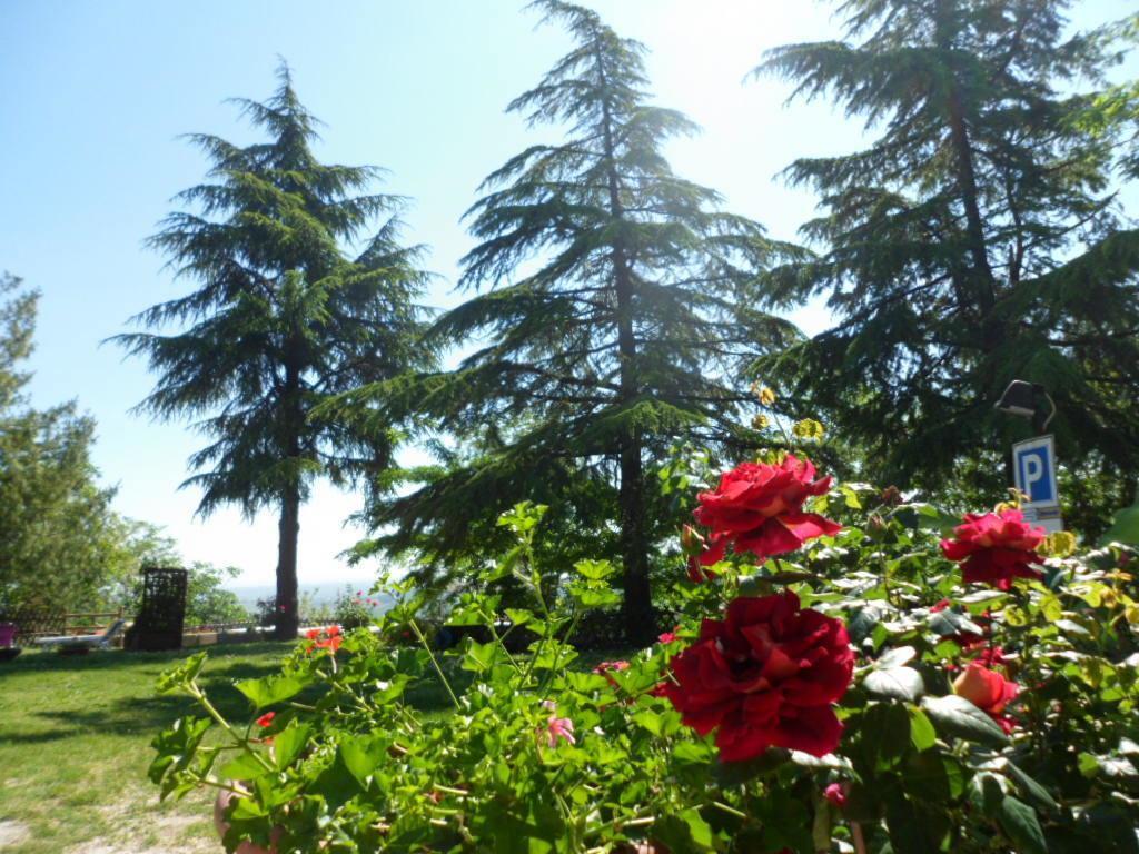 Agriturismo La Quiete Roncofreddo Exterior photo